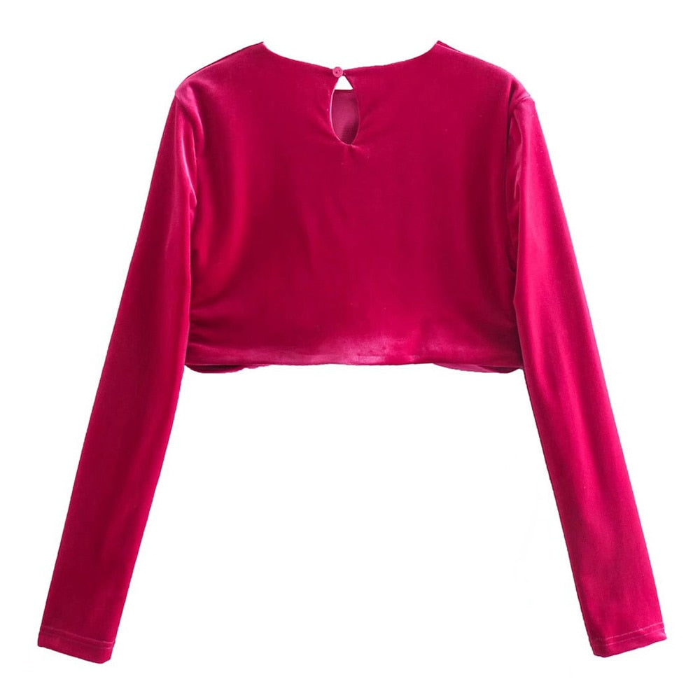 HOLLOW OUT CROPPED VELVET BLOUSE